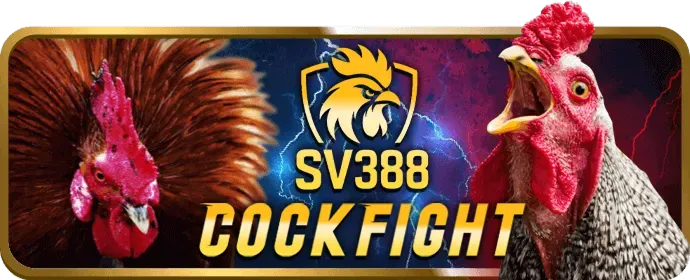 Hình ảnh chính về cá cược bóng đá tại k9club nhà cái